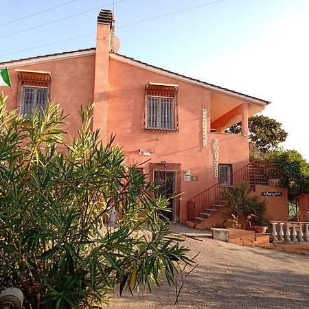 Poggio Agli Ulivi Frascati Exterior foto