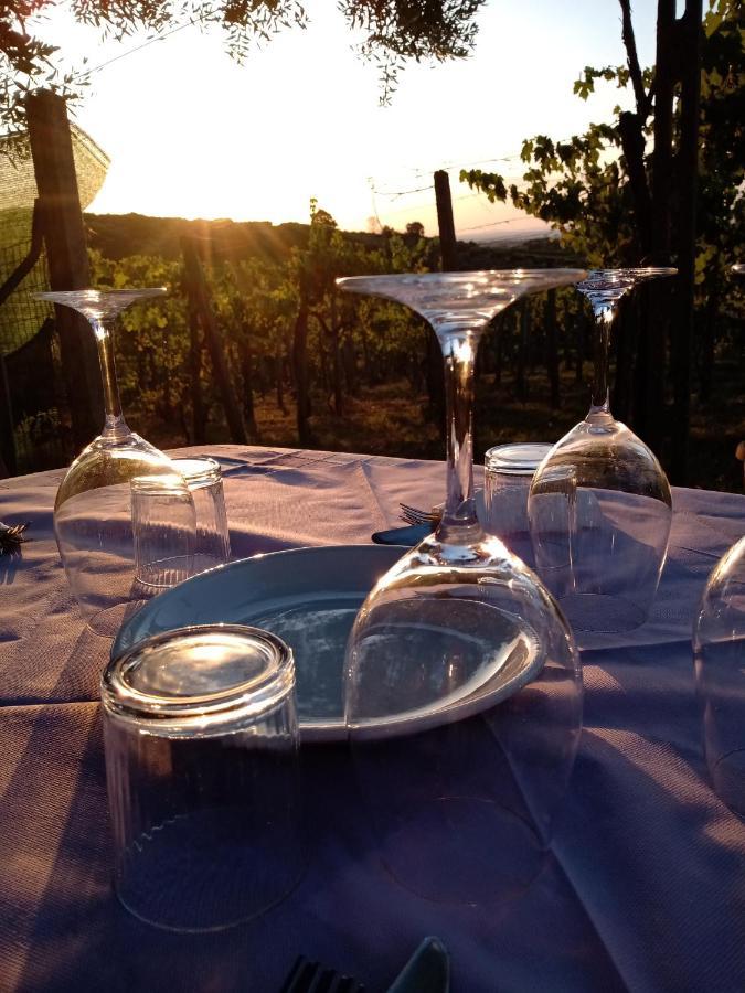 Poggio Agli Ulivi Frascati Exterior foto