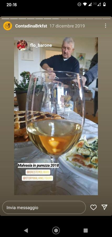 Poggio Agli Ulivi Frascati Exterior foto