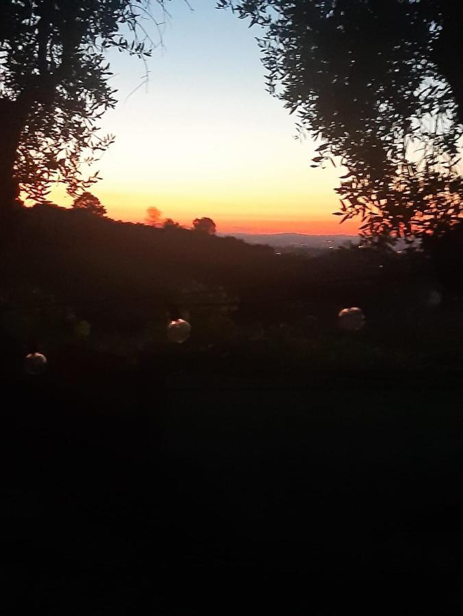 Poggio Agli Ulivi Frascati Exterior foto