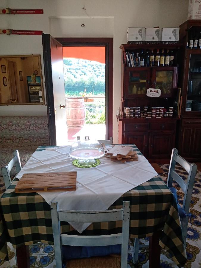 Poggio Agli Ulivi Frascati Exterior foto