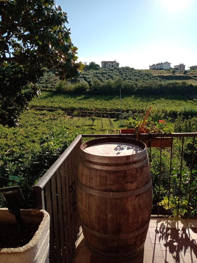 Poggio Agli Ulivi Frascati Exterior foto