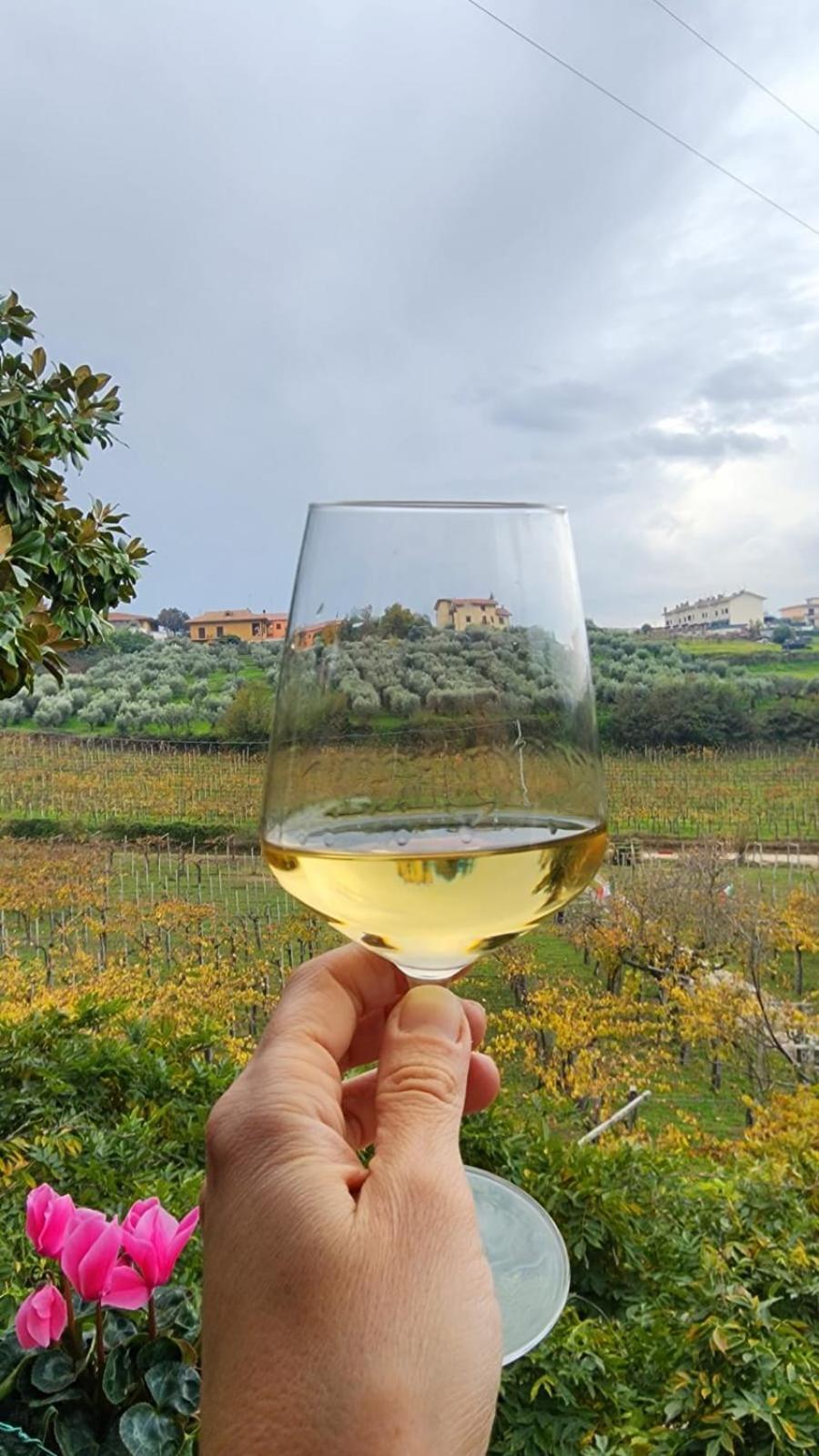 Poggio Agli Ulivi Frascati Exterior foto
